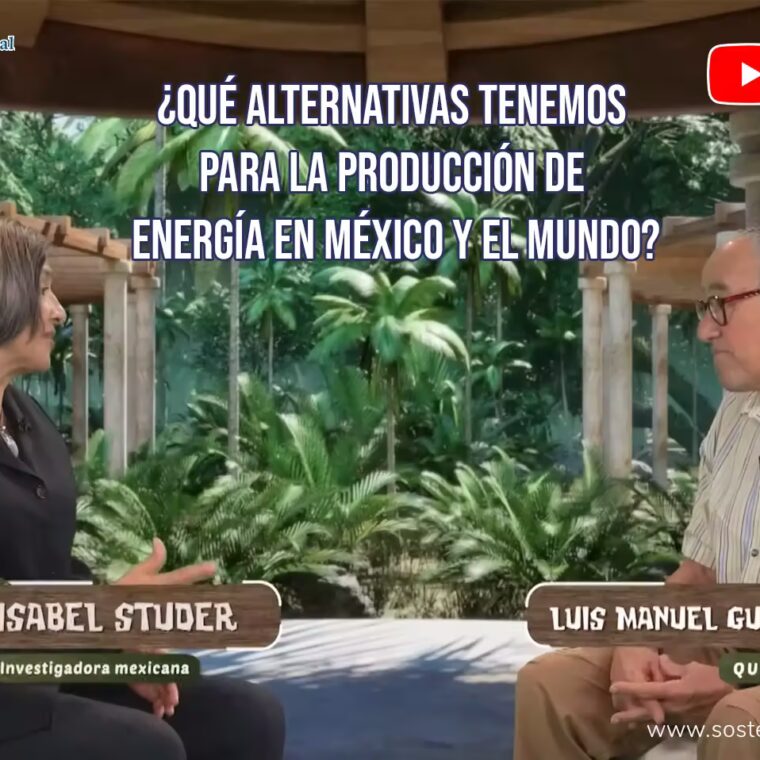 Dra. Isabel Studer entrevistada por Luis Manuel Guerra en Maussan Televisión sobre transición energética
