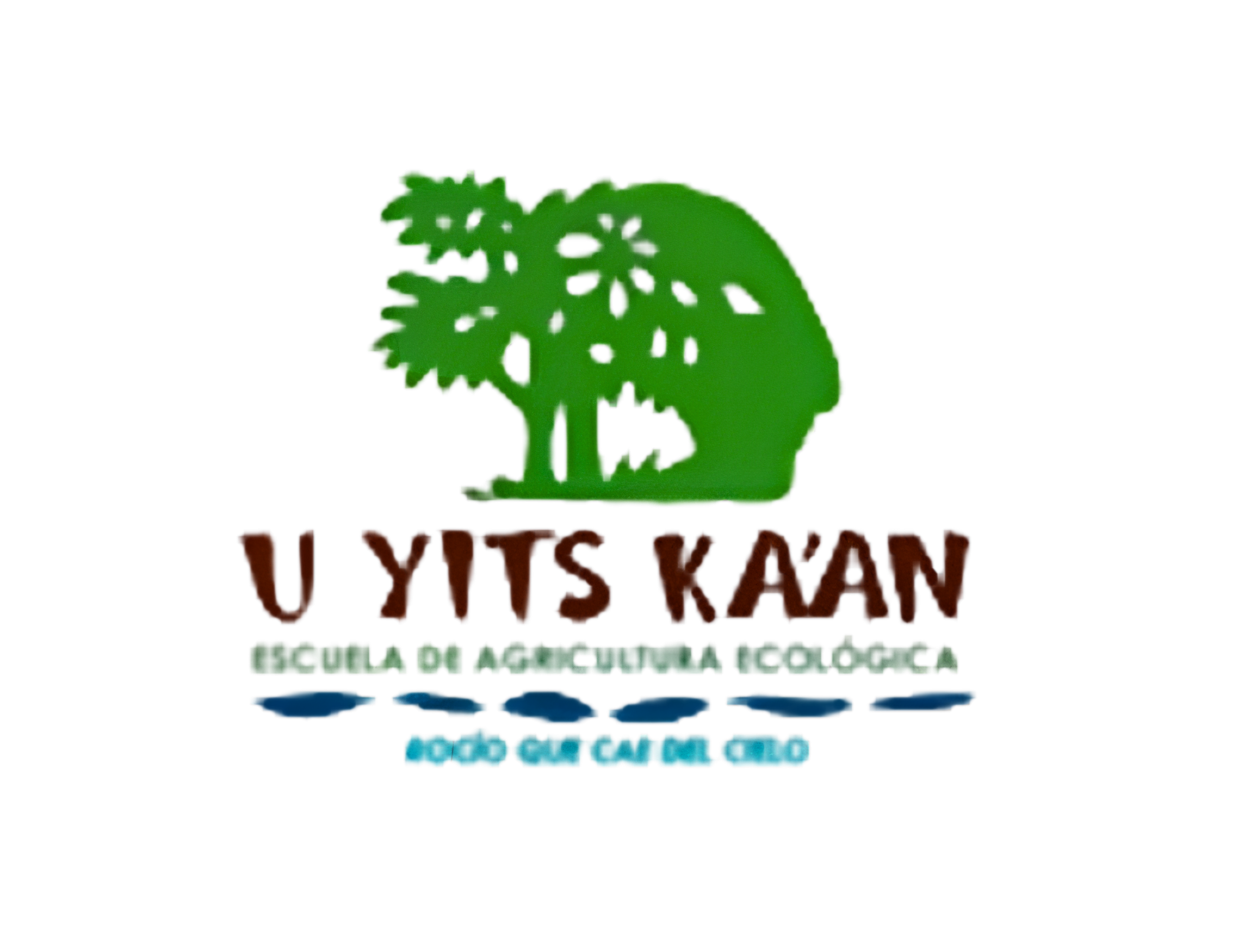 U Yits Kaan